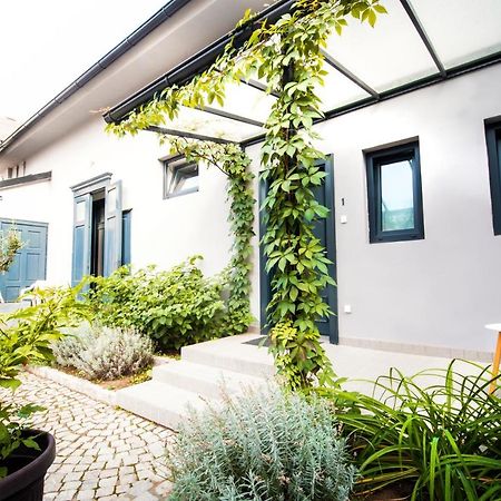 Apartmani Sterija Novi Sad Esterno foto